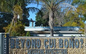 Beyond Cui Bono - Travel Addo Group